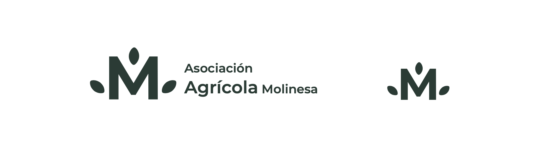 Logotipo Asociación Agrícola Molinesa