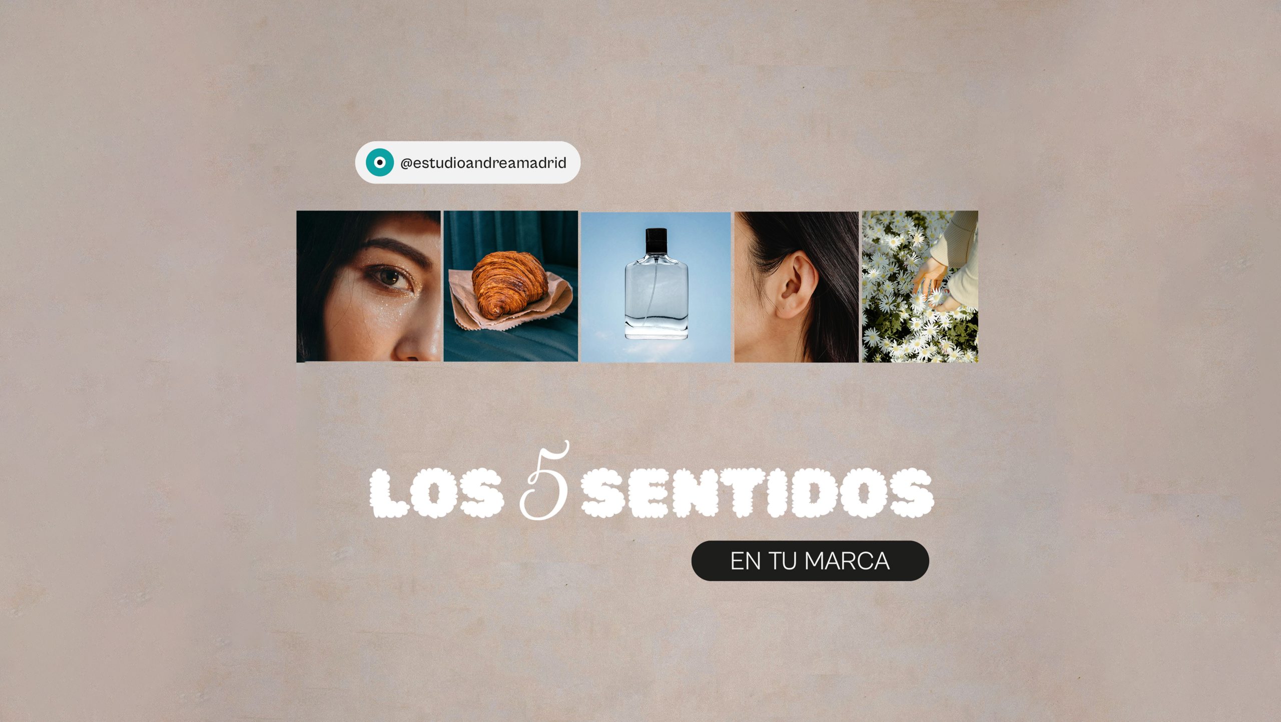 Los 5 sentido en tu Marca. Diseño Sensorial.